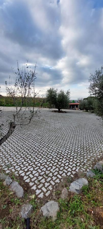 Merumalia Wine Resort فراسكاتي المظهر الخارجي الصورة