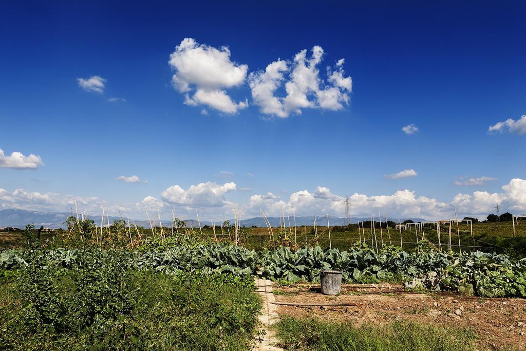 Merumalia Wine Resort فراسكاتي المظهر الخارجي الصورة