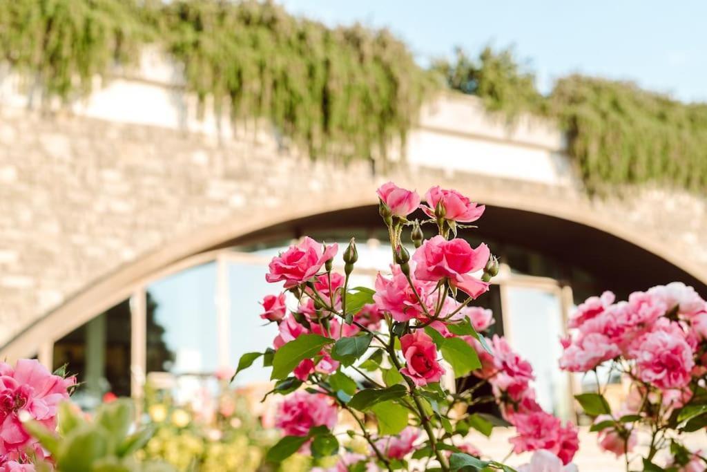Merumalia Wine Resort فراسكاتي المظهر الخارجي الصورة