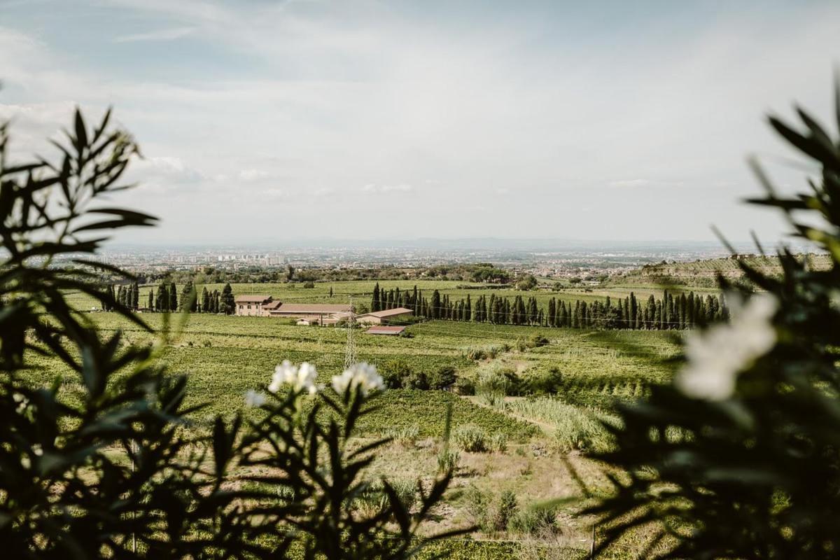 Merumalia Wine Resort فراسكاتي المظهر الخارجي الصورة