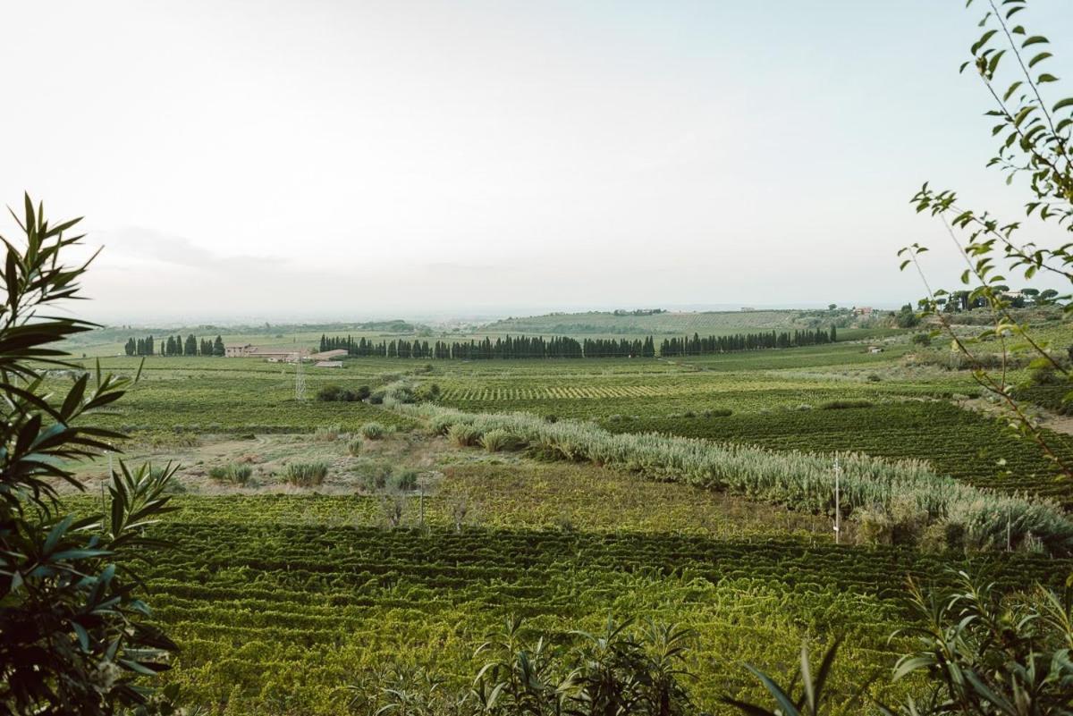 Merumalia Wine Resort فراسكاتي المظهر الخارجي الصورة