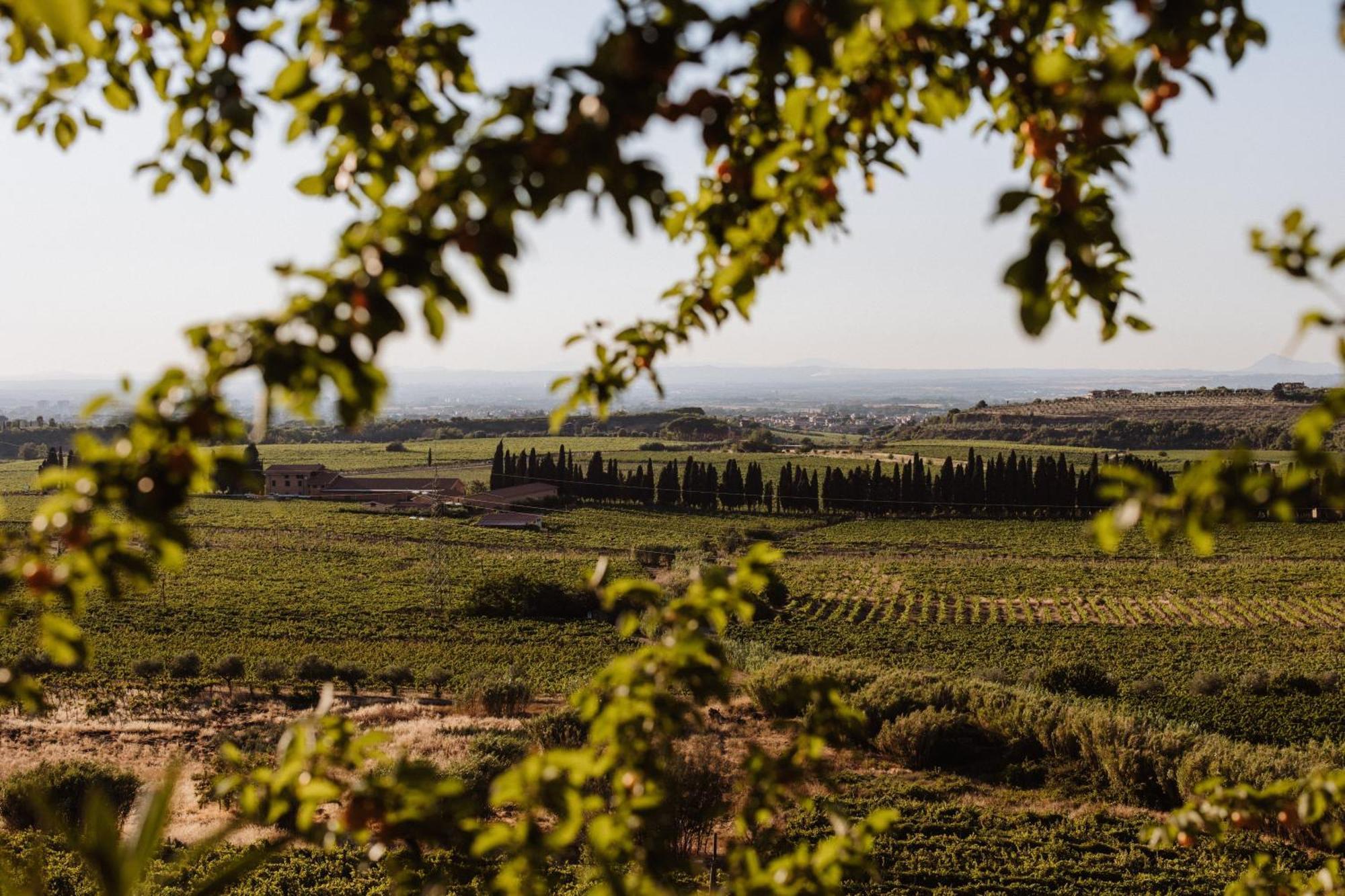 Merumalia Wine Resort فراسكاتي المظهر الخارجي الصورة